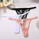 2PCS/Set Mesh Transparent Thong Women Panties Underwear Women Seamless G-String Female Underpants Intimates Lingerie S-XL - Guy Christopher 