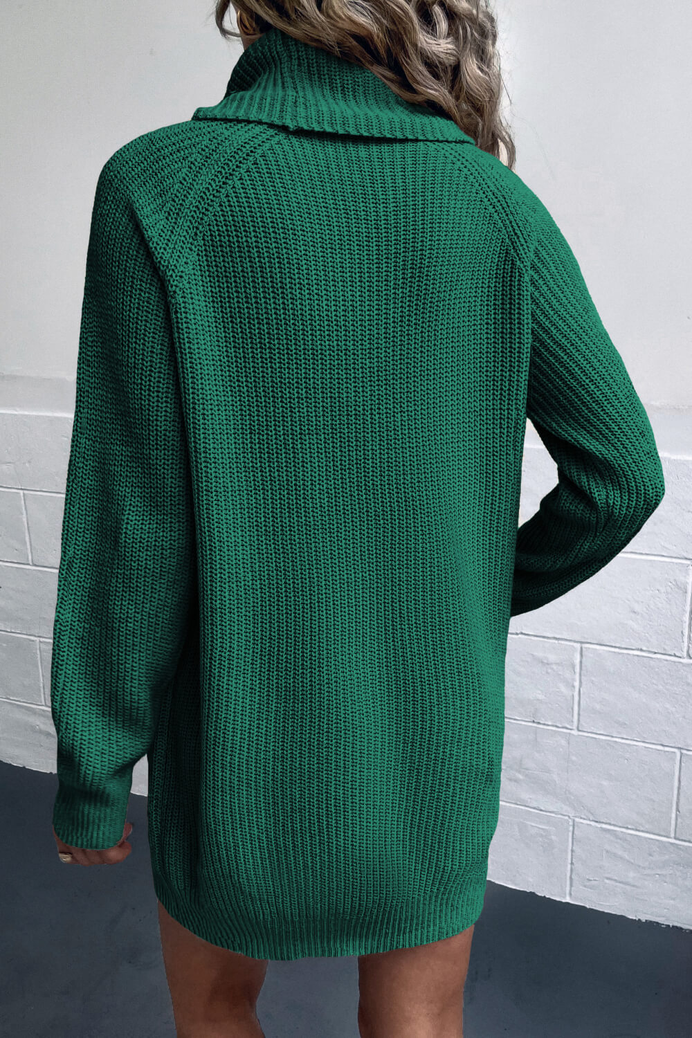 Turtleneck Sweater Dress with Pockets - Guy Christopher 