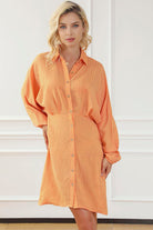 Texture Button Up Balloon Sleeve Shirt Dress - Guy Christopher 