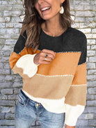 Color Block Round Neck Sweater - Guy Christopher 