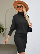 Turtle Neck Long Sleeve Ribbed Sweater Dress - Guy Christopher 