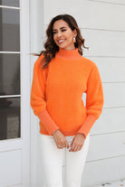 Turtle Neck Long Sleeve Pullover Sweater - Guy Christopher 
