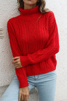 Turtleneck Long Sleeve Sweater - Guy Christopher 