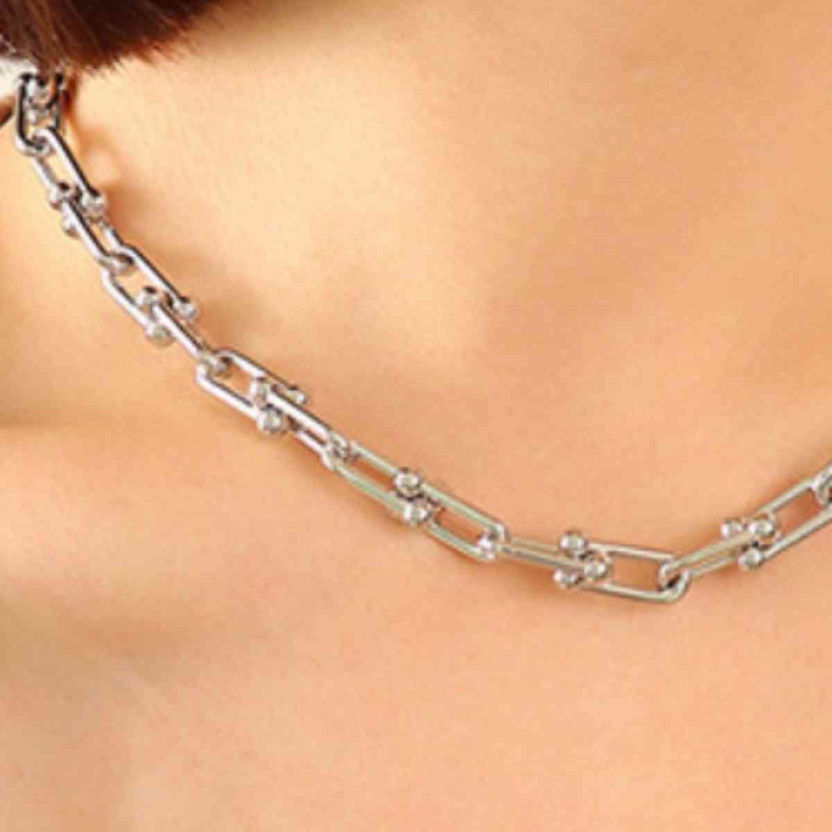 Chunky Chain Titanium Steel Necklace - Guy Christopher