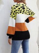 Color Block Round Neck Sweater - Guy Christopher