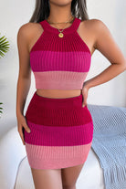 Color Block Sleeveless Crop Knit Top and Skirt Set - Guy Christopher