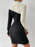 Contrast Turtleneck Sweater Dress - Guy Christopher