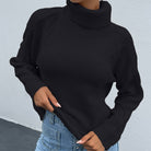 Turtle Neck Long Sleeve Sweater - Guy Christopher 