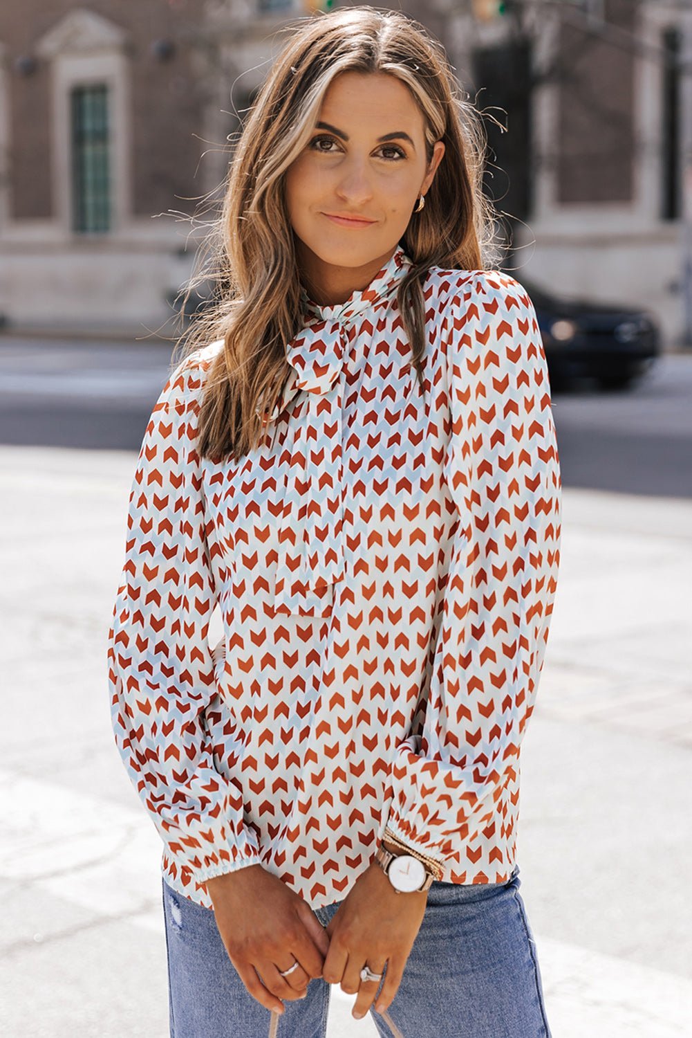Double Take Printed Tie Neck Long Sleeve Blouse - Guy Christopher