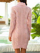 Turtleneck Ribbed Sweater Dress - Guy Christopher 