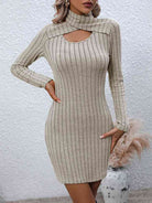 Long Sleeve Ribbed Sweater Dress - Guy Christopher