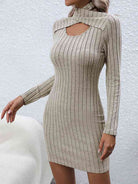 Long Sleeve Ribbed Sweater Dress - Guy Christopher