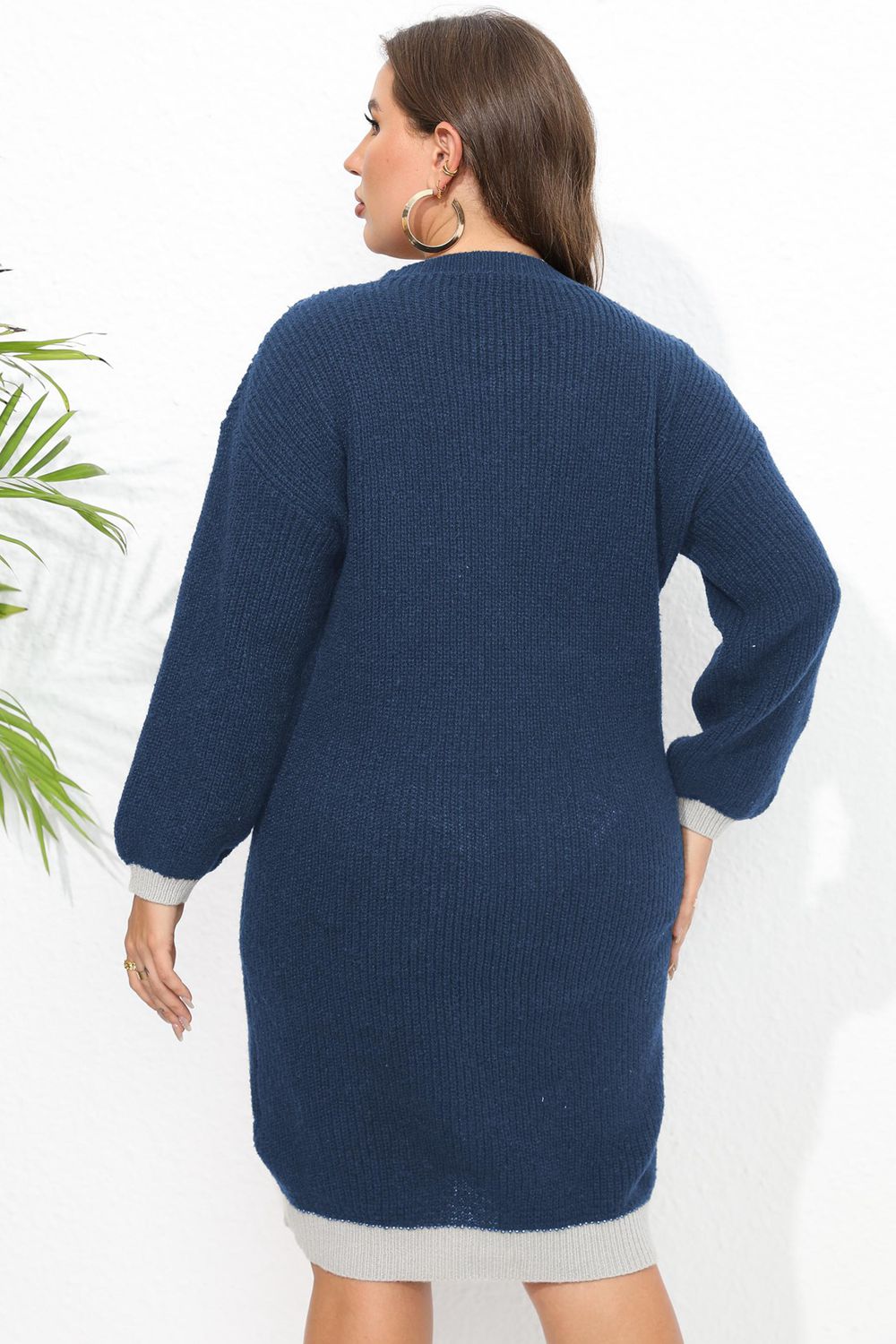 Plus Size Long Sleeve Sweater Dress - Guy Christopher