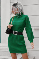 Ribbed Turtle Neck Long Sleeve Mini Sweater Dress - Guy Christopher