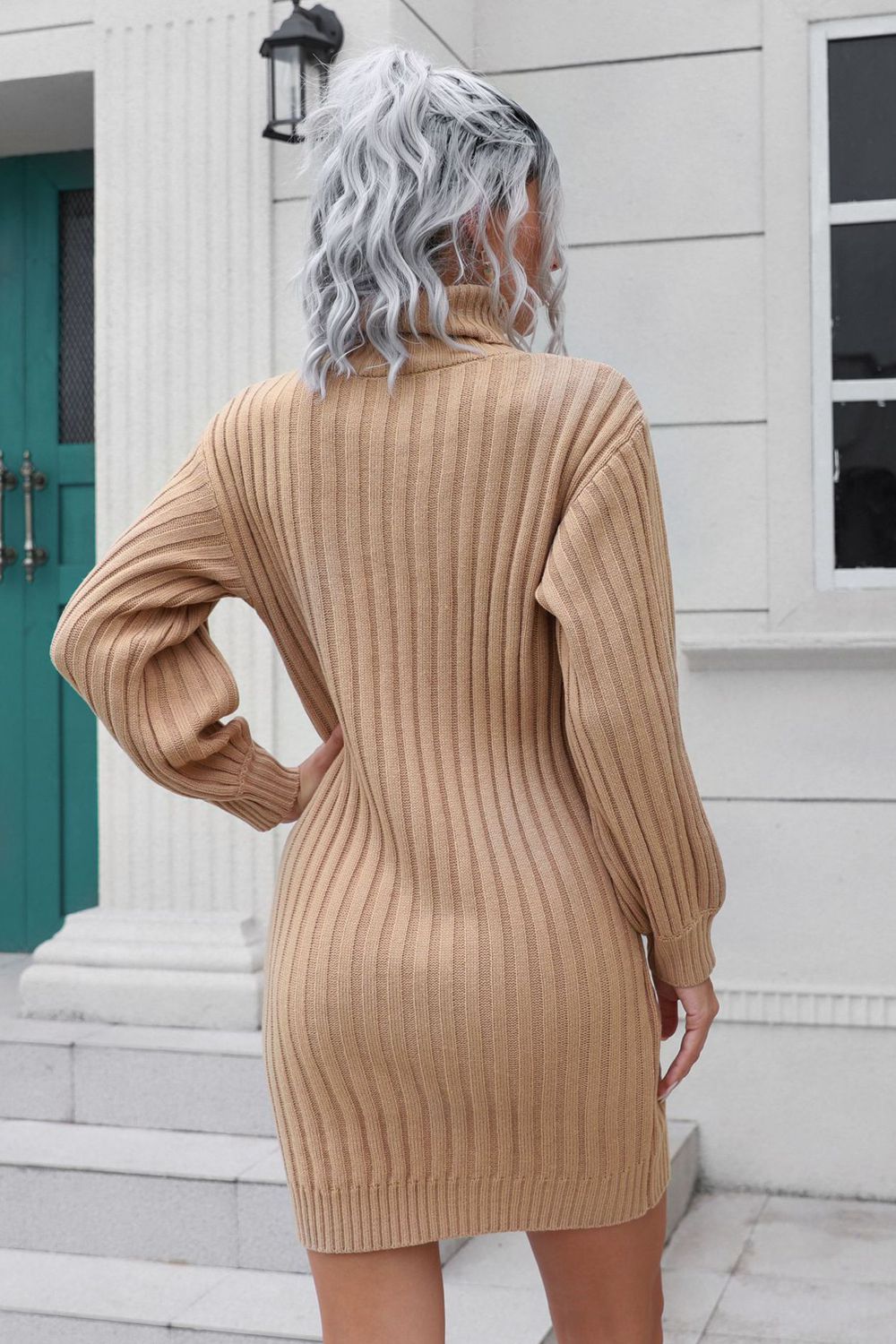 Ribbed Turtle Neck Long Sleeve Mini Sweater Dress - Guy Christopher