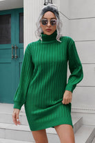 Ribbed Turtle Neck Long Sleeve Mini Sweater Dress - Guy Christopher