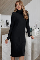 Ribbed Turtle Neck Long Sleeve Sweater Dress - Guy Christopher