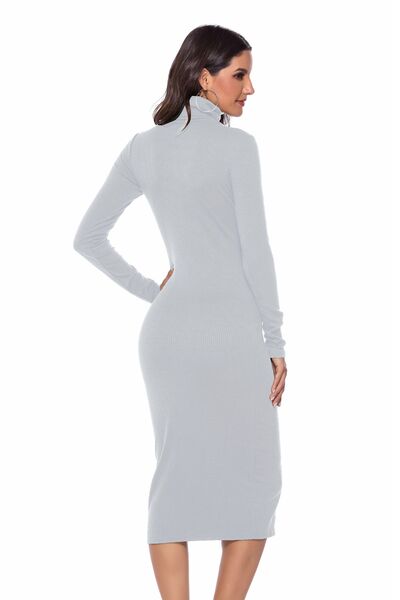 Ribbed Turtleneck Long Sleeve Dress - Guy Christopher