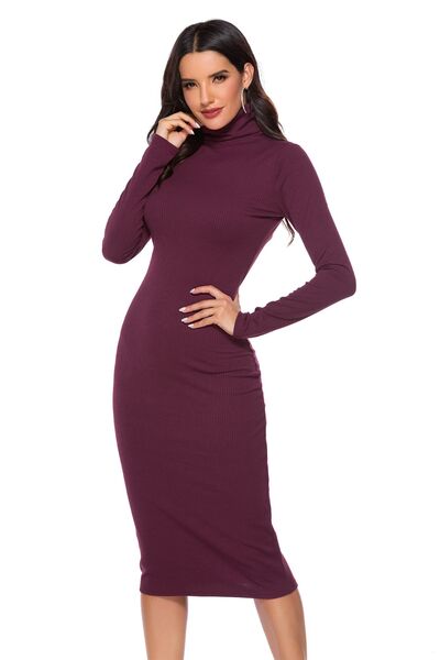 Ribbed Turtleneck Long Sleeve Dress - Guy Christopher