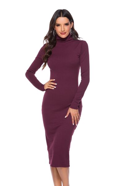 Ribbed Turtleneck Long Sleeve Dress - Guy Christopher